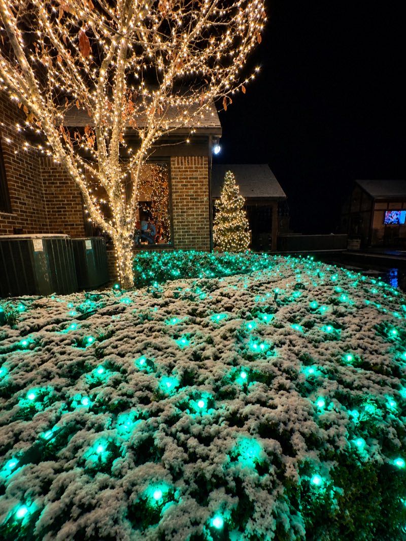 Warm white tree wrapping with green bush lights in snow