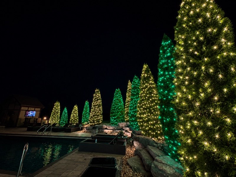 Green and warm white lit trees along poolside, holiday lighting